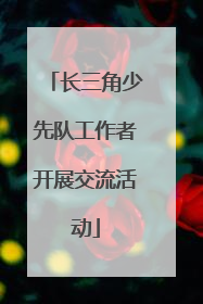 长三角少先队工作者开展交流活动