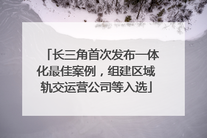 长三角首次发布一体化最佳案例，组建区域轨交运营公司等入选