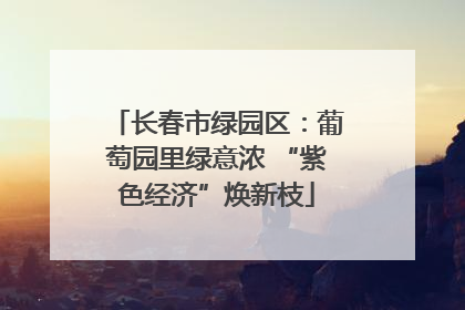 长春市绿园区：葡萄园里绿意浓 “紫色经济”焕新枝