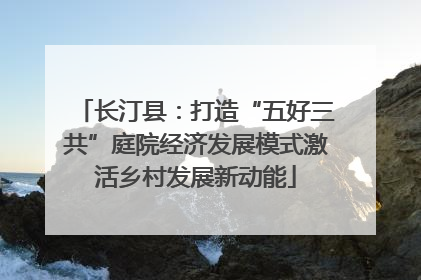 长汀县：打造“五好三共”庭院经济发展模式激活乡村发展新动能