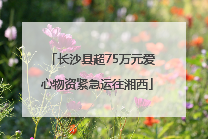 长沙县超75万元爱心物资紧急运往湘西