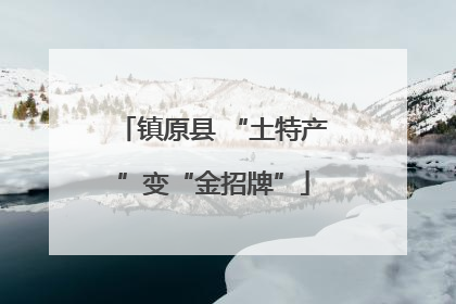 镇原县 “土特产”变“金招牌”