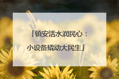 镇安活水润民心：小设备撬动大民生