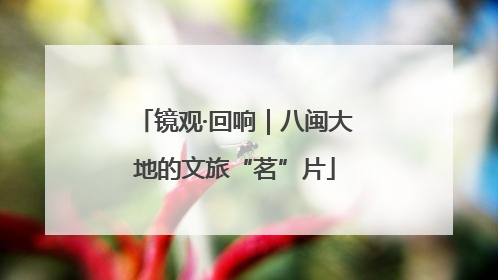 镜观·回响｜八闽大地的文旅“茗”片