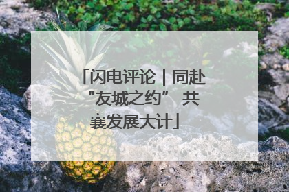 闪电评论｜同赴“友城之约” 共襄发展大计