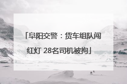 阜阳交警：货车组队闯红灯 28名司机被拘