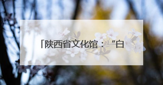 陕西省文化馆：“白+黑”“馆+景”，文化供给向美而聚