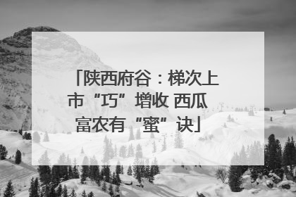 陕西府谷：梯次上市“巧”增收 西瓜富农有“蜜”诀