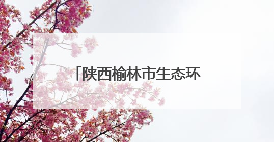 陕西榆林市生态环境局榆阳分局：实干厚植生态底色，担当描绘绿色答卷