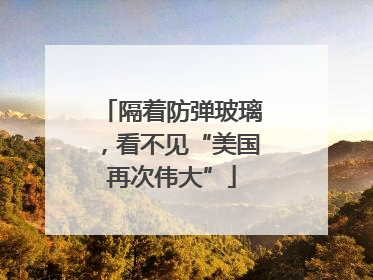 隔着防弹玻璃，看不见“美国再次伟大”