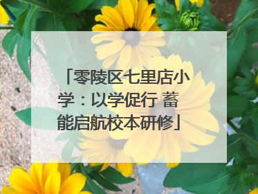 零陵区七里店小学：以学促行 蓄能启航校本研修