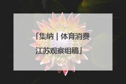集纳｜体育消费江苏观察组稿
