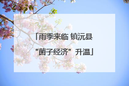 雨季来临 镇沅县“菌子经济”升温