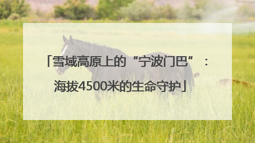 雪域高原上的“宁波门巴”：海拔4500米的生命守护
