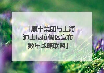顺丰集团与上海迪士尼度假区宣布数年战略联盟