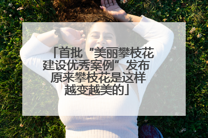首批“美丽攀枝花建设优秀案例”发布 原来攀枝花是这样越变越美的