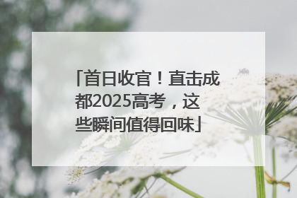 首日收官！直击成都2025高考，这些瞬间值得回味