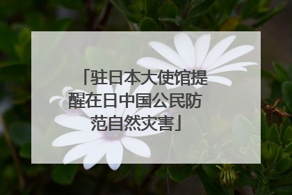 驻日本大使馆提醒在日中国公民防范自然灾害