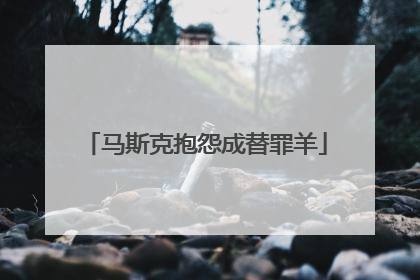 马斯克抱怨成替罪羊