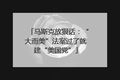 马斯克放狠话：“大而美”法案过了就建“美国党”
