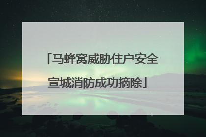 马蜂窝威胁住户安全 宣城消防成功摘除