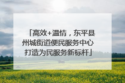 高效+温情，东平县州城街道便民服务中心打造为民服务新标杆