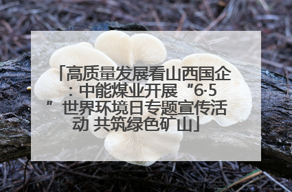 高质量发展看山西国企：中能煤业开展“6·5”世界环境日专题宣传活动 共筑绿色矿山