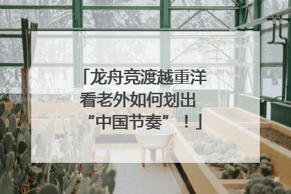 龙舟竞渡越重洋 看老外如何划出“中国节奏”！