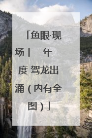 鱼眼·现场丨一年一度 驾龙出涌（内有全图）