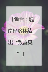 鱼台：堤岸经济林结出“致富果”