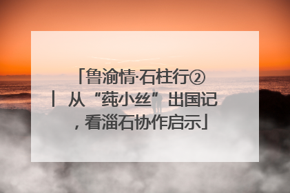 鲁渝情·石柱行② ︳从“莼小丝”出国记，看淄石协作启示