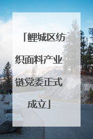 鲤城区纺织面料产业链党委正式成立