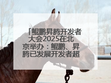 鲲鹏昇腾开发者大会2025在北京举办：鲲鹏、昇腾已发展开发者超665万