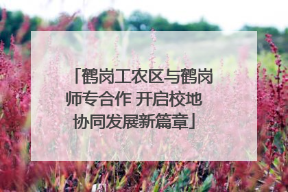 鹤岗工农区与鹤岗师专合作 开启校地协同发展新篇章