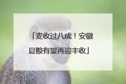 麦收过八成！安徽夏粮有望再迎丰收