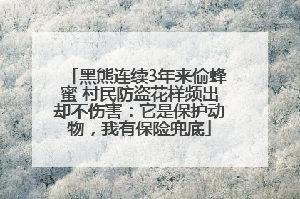 黑熊连续3年来偷蜂蜜 村民防盗花样频出却不伤害：它是保护动物，我有保险兜底