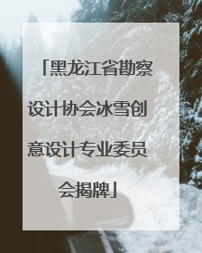 黑龙江省勘察设计协会冰雪创意设计专业委员会揭牌