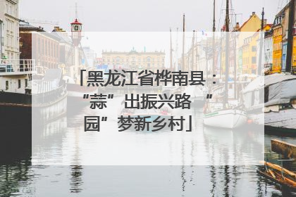 黑龙江省桦南县：“蒜”出振兴路 “园”梦新乡村