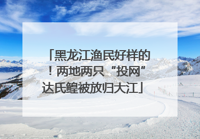 黑龙江渔民好样的！两地两只“投网”达氏鳇被放归大江