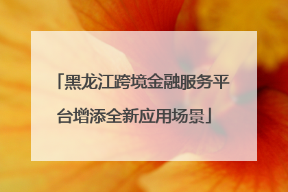 黑龙江跨境金融服务平台增添全新应用场景