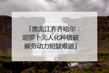 黑龙江齐齐哈尔：胡萝卜无人化种植破解劳动力短缺难题