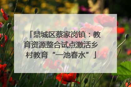 鼎城区蔡家岗镇：教育资源整合试点激活乡村教育“一池春水”