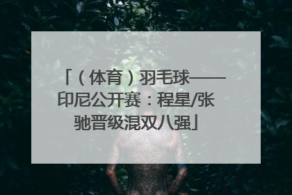 （体育）羽毛球——印尼公开赛：程星/张驰晋级混双八强