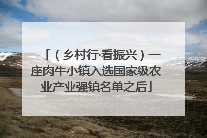 （乡村行·看振兴）一座肉牛小镇入选国家级农业产业强镇名单之后