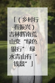 （乡村行·看振兴）吉林辉南荒山变“绿色银行” 绿水青山有“钱景”