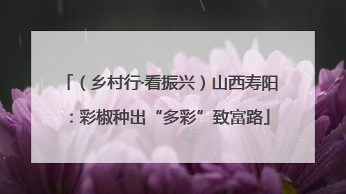 （乡村行·看振兴）山西寿阳：彩椒种出“多彩”致富路