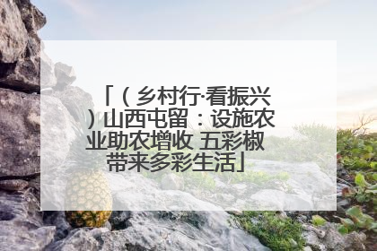 （乡村行·看振兴）山西屯留：设施农业助农增收 五彩椒带来多彩生活