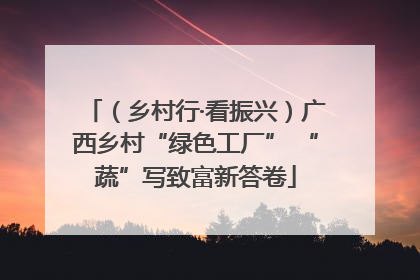 （乡村行·看振兴）广西乡村“绿色工厂” “蔬”写致富新答卷