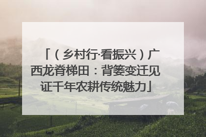 （乡村行·看振兴）广西龙脊梯田：背篓变迁见证千年农耕传统魅力