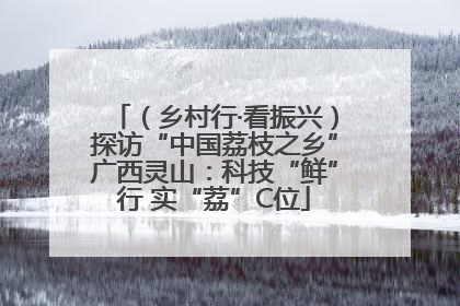 （乡村行·看振兴）探访“中国荔枝之乡”广西灵山：科技“鲜”行 实“荔”C位